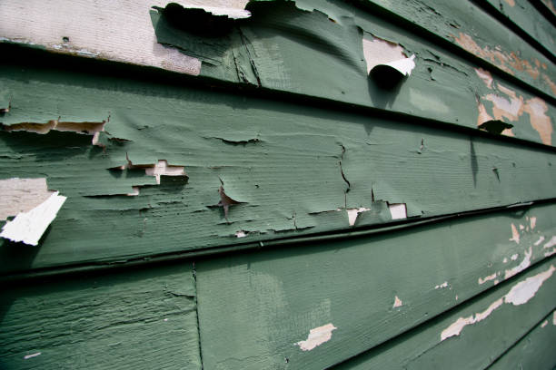 Best Garage Cleanout  in Grosse Pointe Park, MI