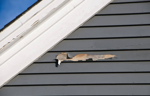 Best Property Management Cleanouts  in Grosse Pointe Park, MI